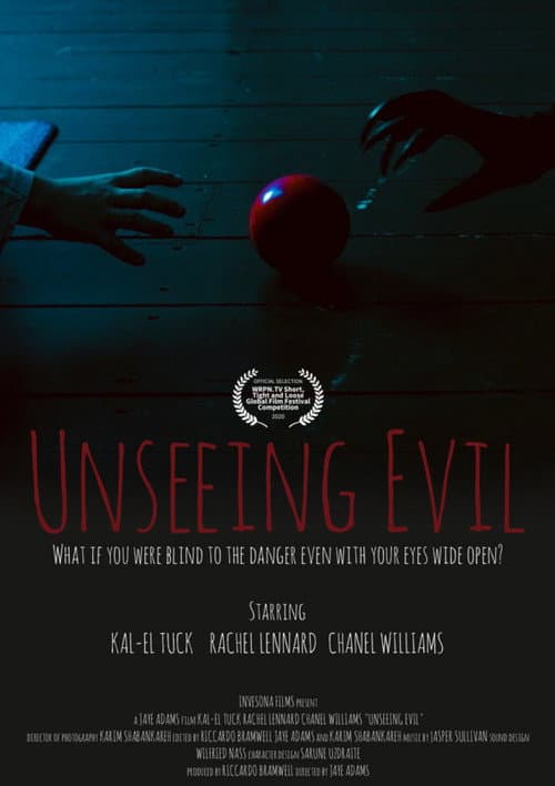 Poster for Unseeing Evil