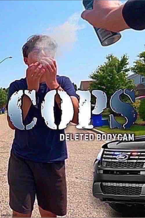Poster for COPS: Deleted Bodycam