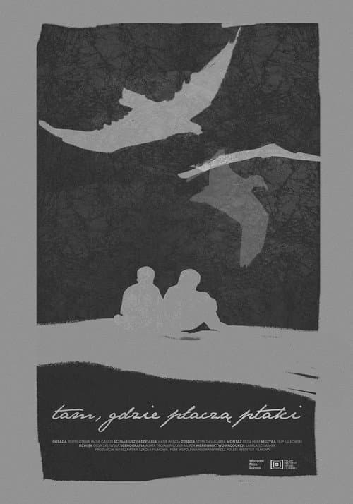 Poster for Where the Birds Cry