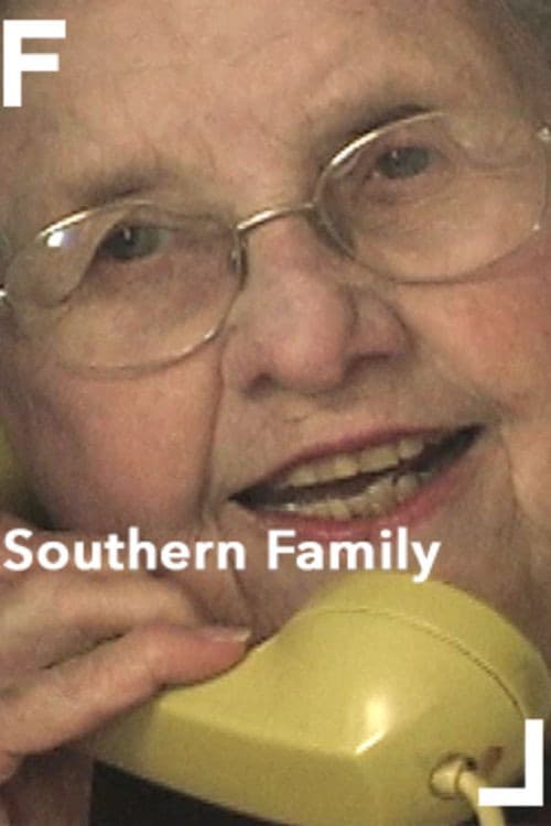 Poster for Southern Family