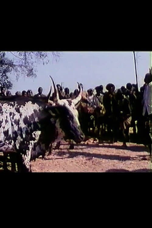 Poster for Feast of the Sacred Ox