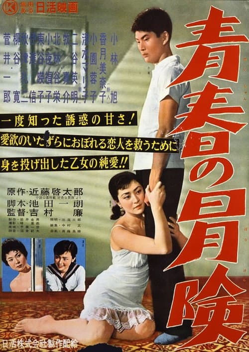 Poster for The Way of Youth