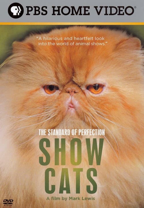 Poster for The Standard of Perfection: Show Cats