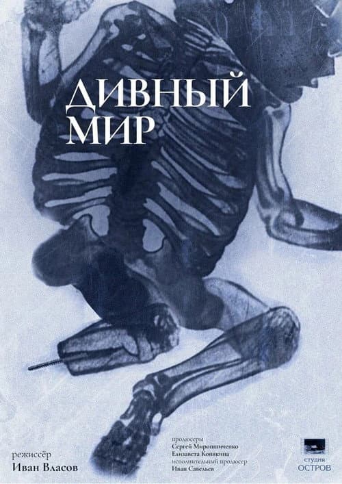 Poster for Brave World