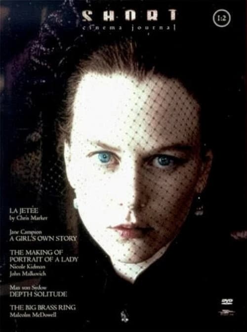 Poster for Vincent: The Junkie Chronicles