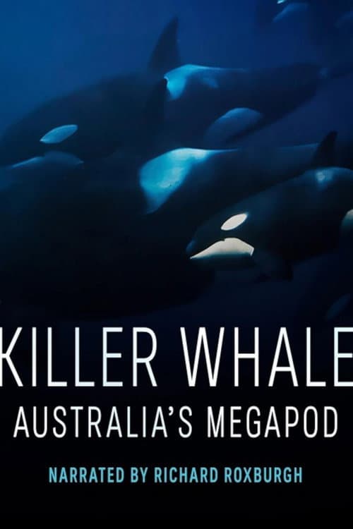 Poster for Killer Whale: Australia's Megapod