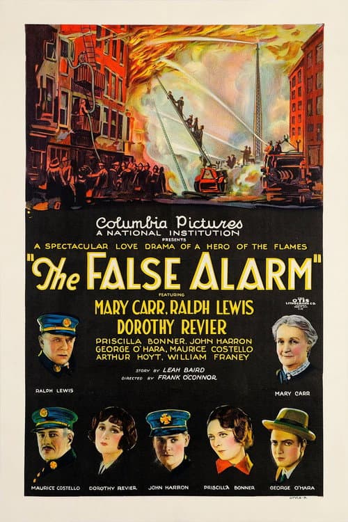 Poster for The False Alarm