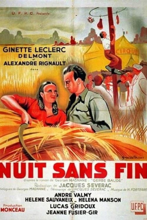 Poster for Endless Night