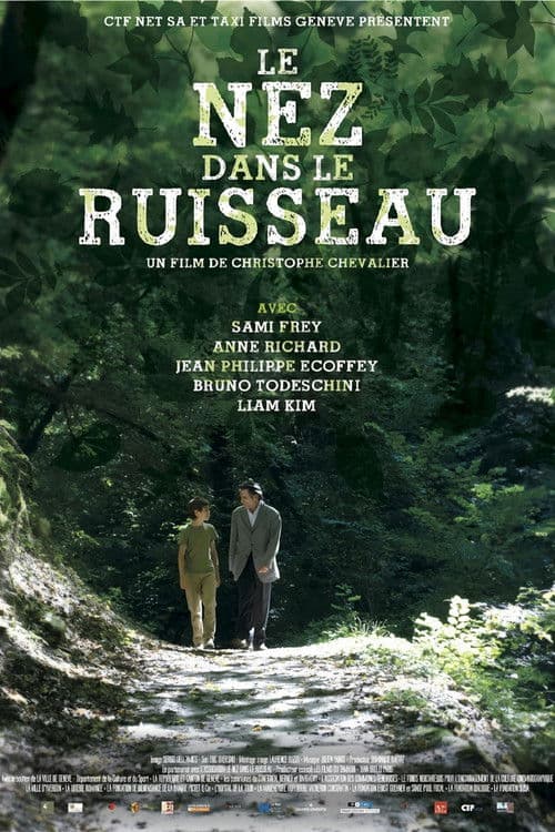 Poster for Le nez dans le ruisseau