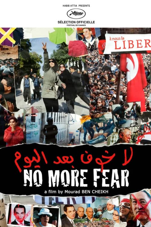 Poster for No More Fear