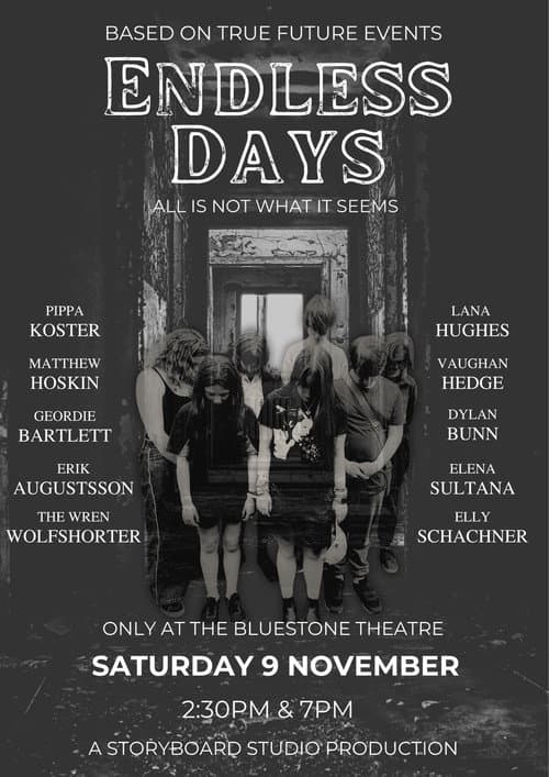 Poster for Endless Days