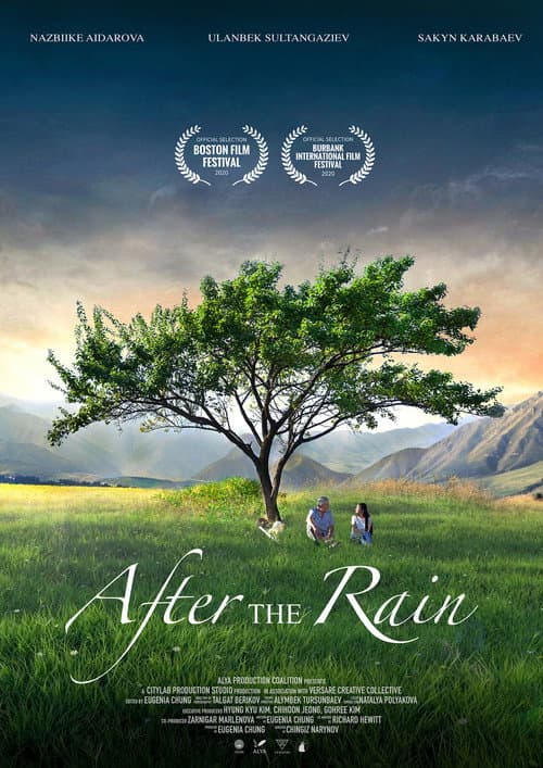 Poster for After the Rain