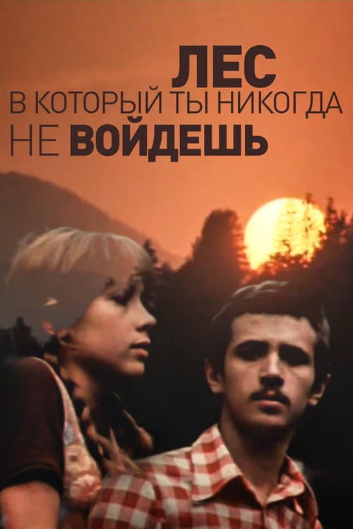 Poster for The Forest You'll Never Enter