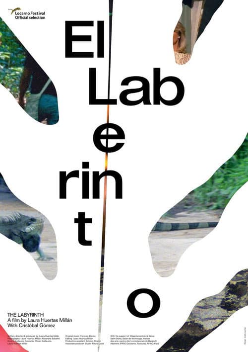 Poster for The Labyrinth