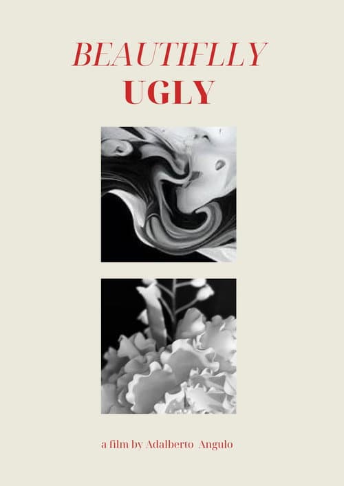 Poster for Beautifully Ugly