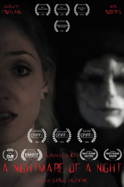 Poster for A Nightmare of a Night