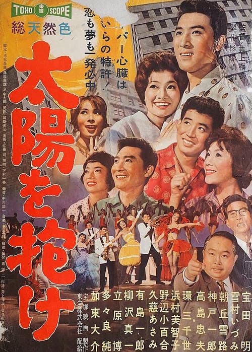 Poster for Singing in the Sun