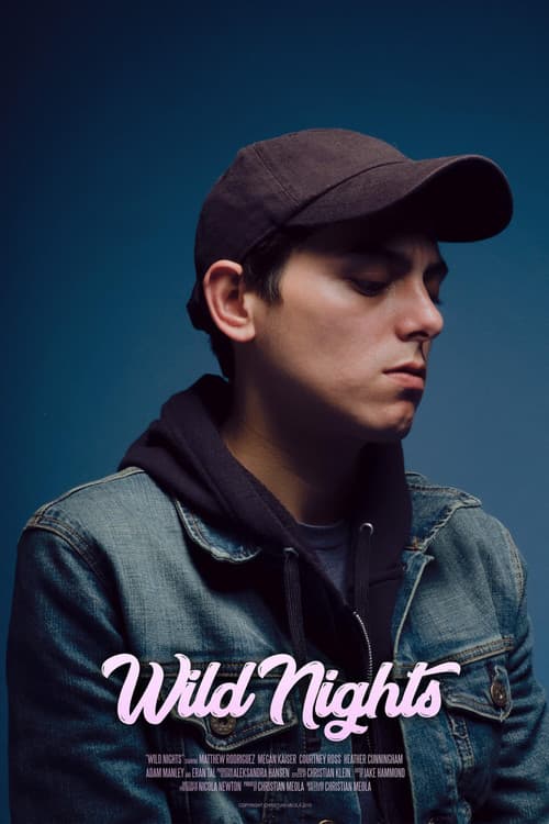 Poster for Wild Nights