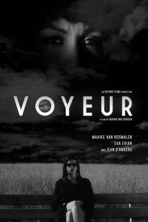 Poster for Voyeur