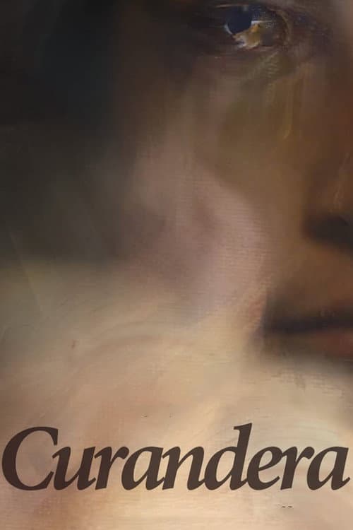 Poster for The Healer