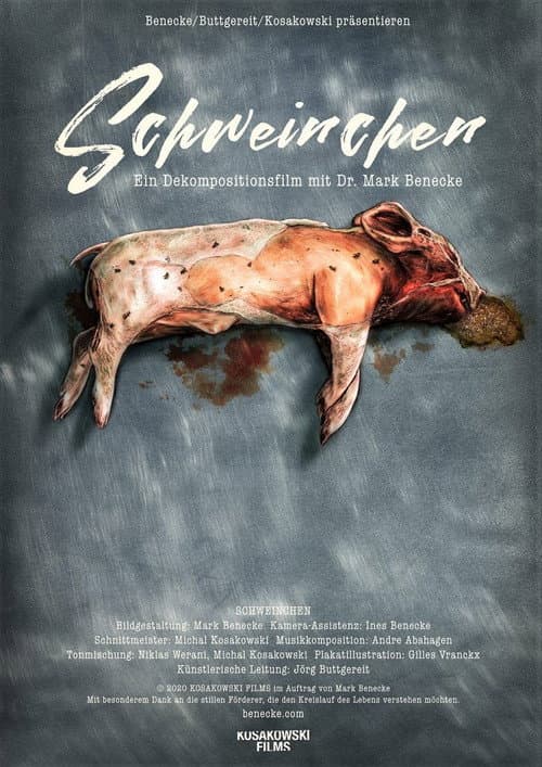Poster for Piggy