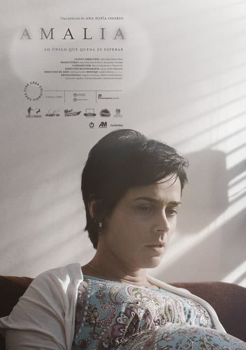 Poster for Amalia