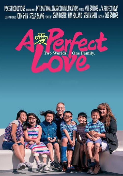 Poster for A Perfect Love