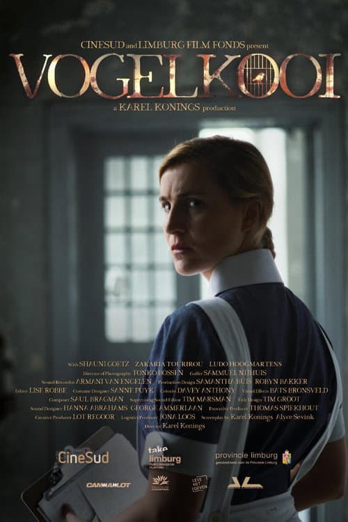 Poster for Birdcage