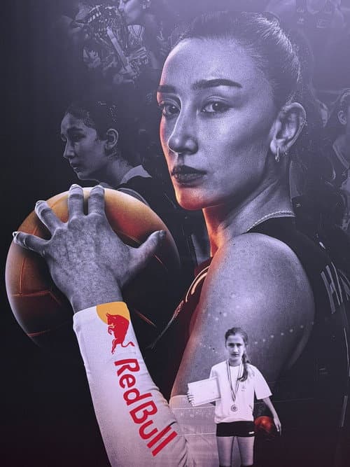 Poster for BALADIN