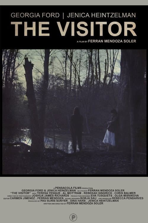Poster for The Visitor