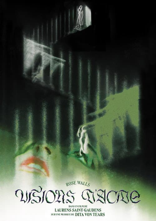 Poster for Visions d'Acide