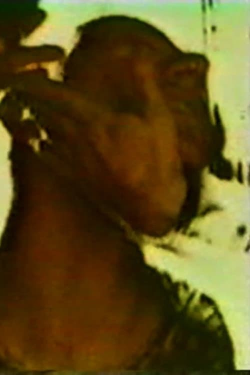 Poster for Razor Head