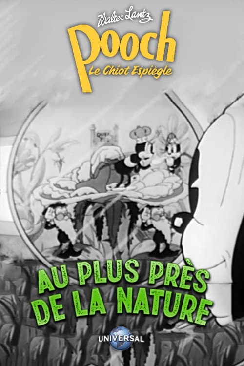 Poster for Nature's Workshop