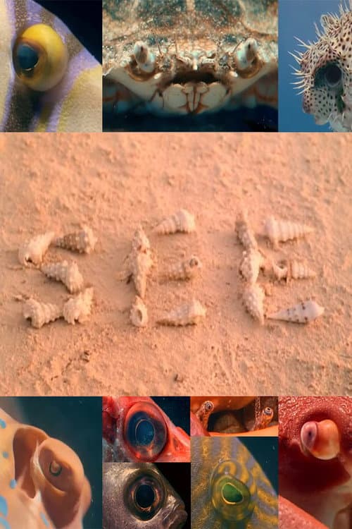 Poster for SEE