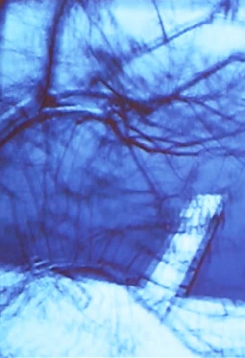 Poster for Seelig