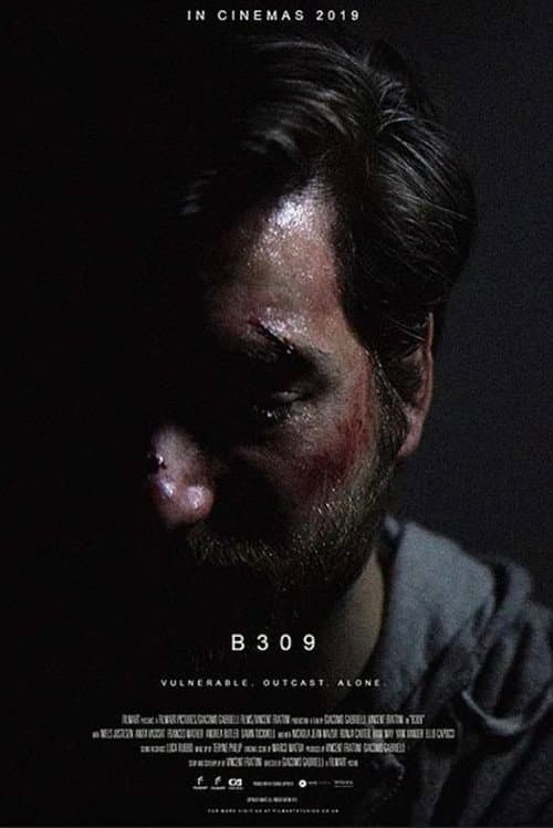 Poster for B309
