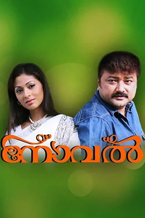 Poster for Novel