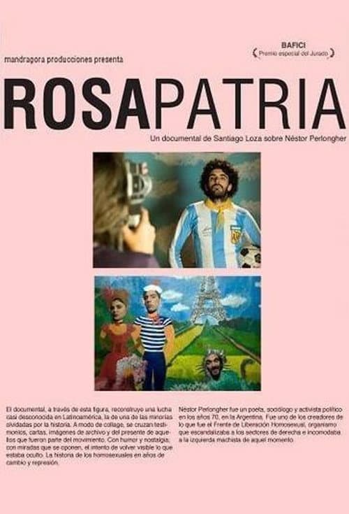 Poster for Pink Motherland