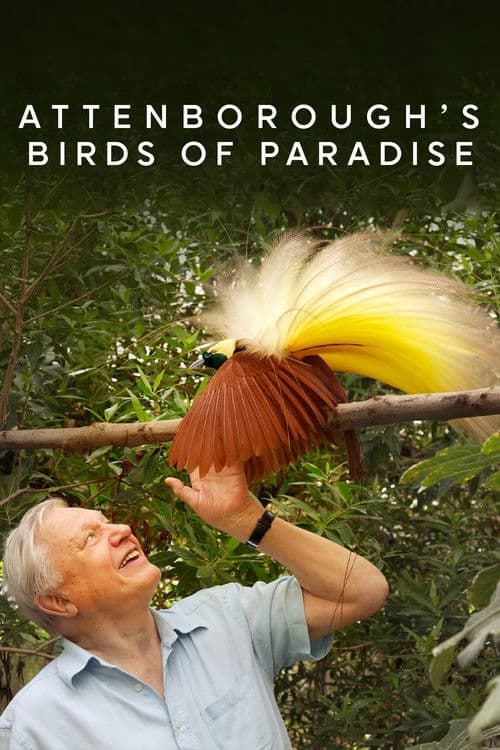 Poster for Birds of Paradise