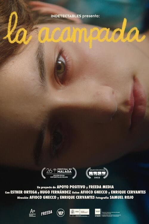 Poster for La acampada
