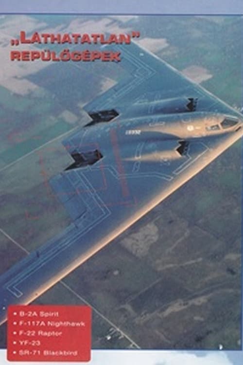 Poster for Combat in the Air - Stealth Warplanes