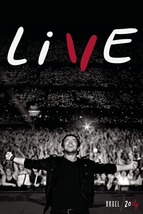 Poster for Il était une fois... Patrick Bruel