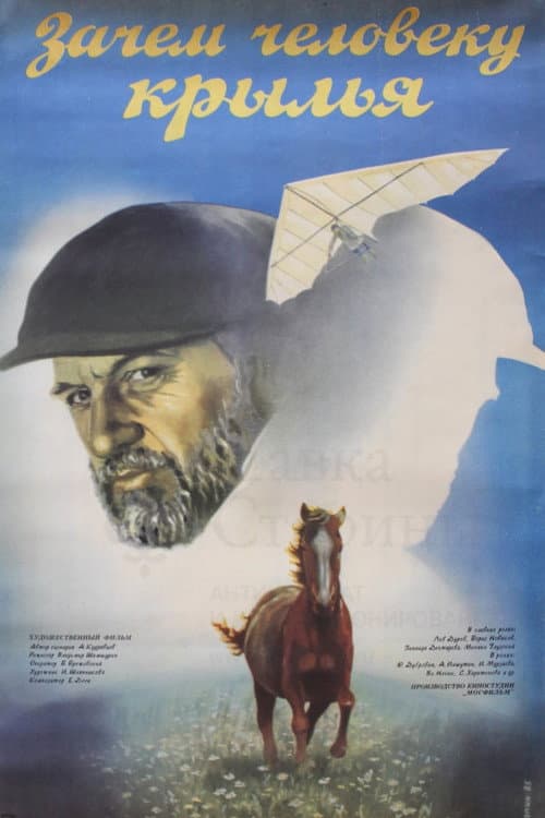 Poster for Why Does a Person Need Wings?