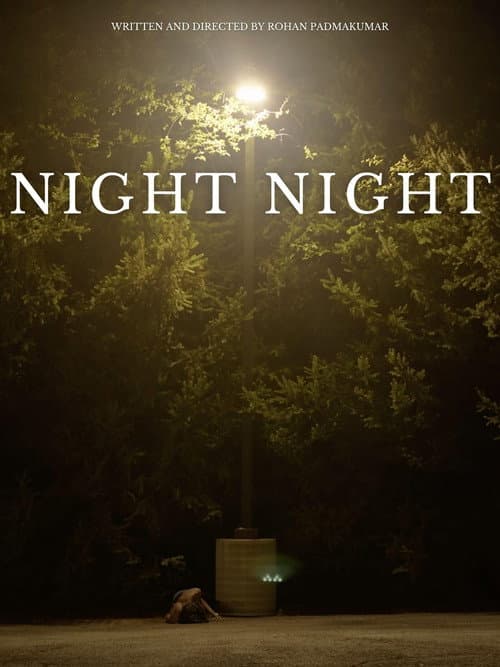 Poster for Night Night