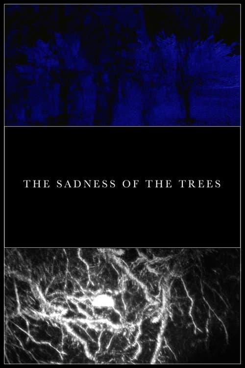Poster for The Sadness of the Trees