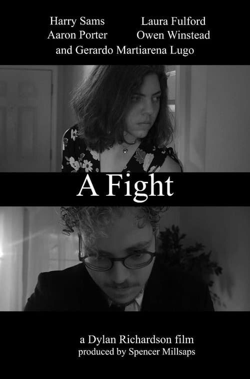 Poster for A Fight