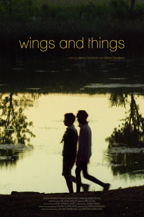 Poster for Wings and Things