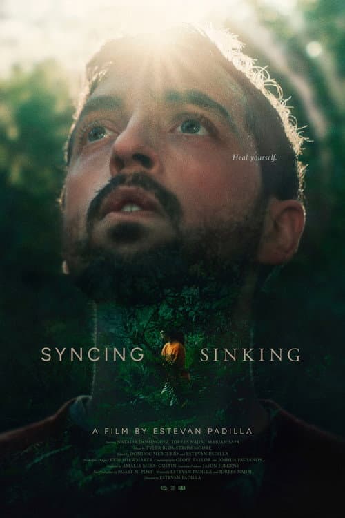 Poster for Syncing Sinking