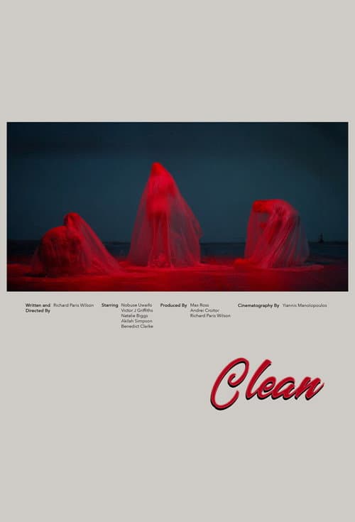 Poster for Clean