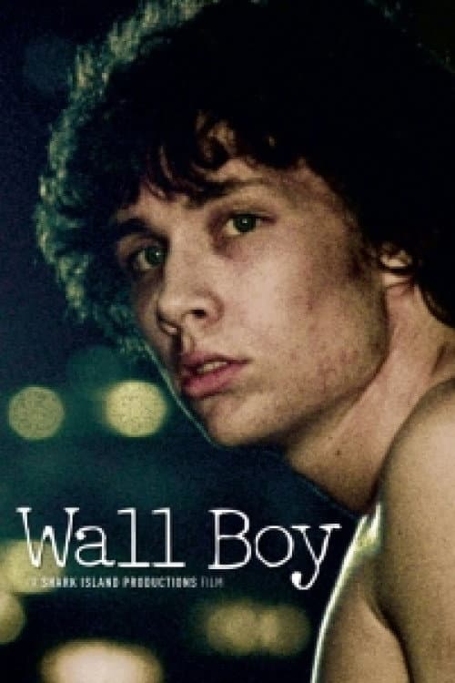 Poster for Wall Boy